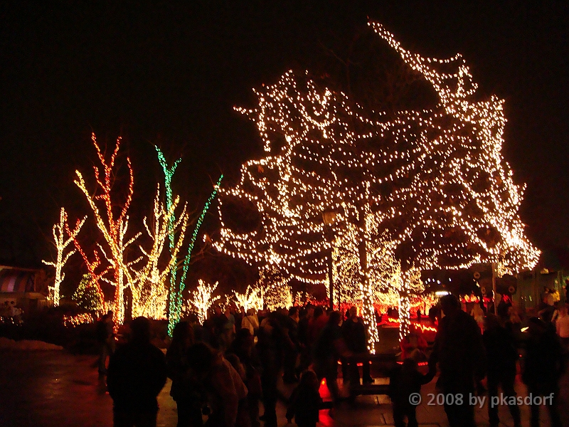 114 Toledo Zoo Light Show [2008 Dec 27].JPG - Scenes from the Toledo Zoo Light Show.